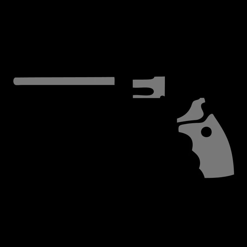 revolver 357 pistol gun