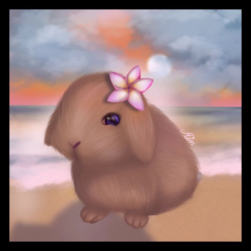 Lapin à la plage