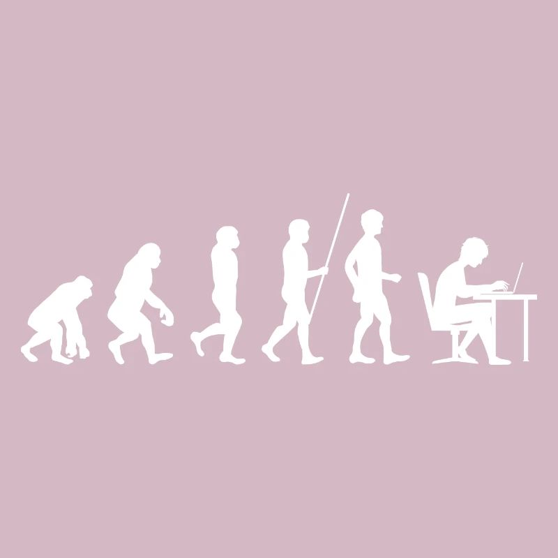 Programmer evolution computer science student code