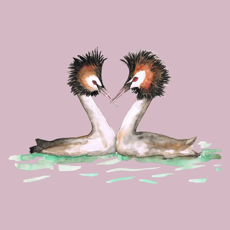 Two grebes