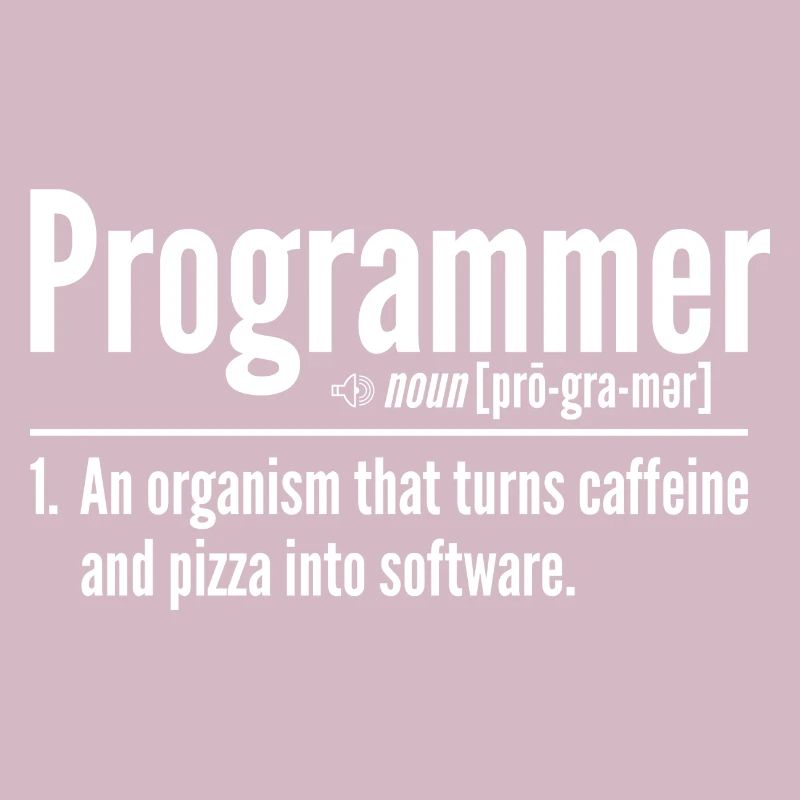 Programmer