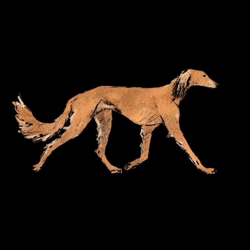 Saluki rouge