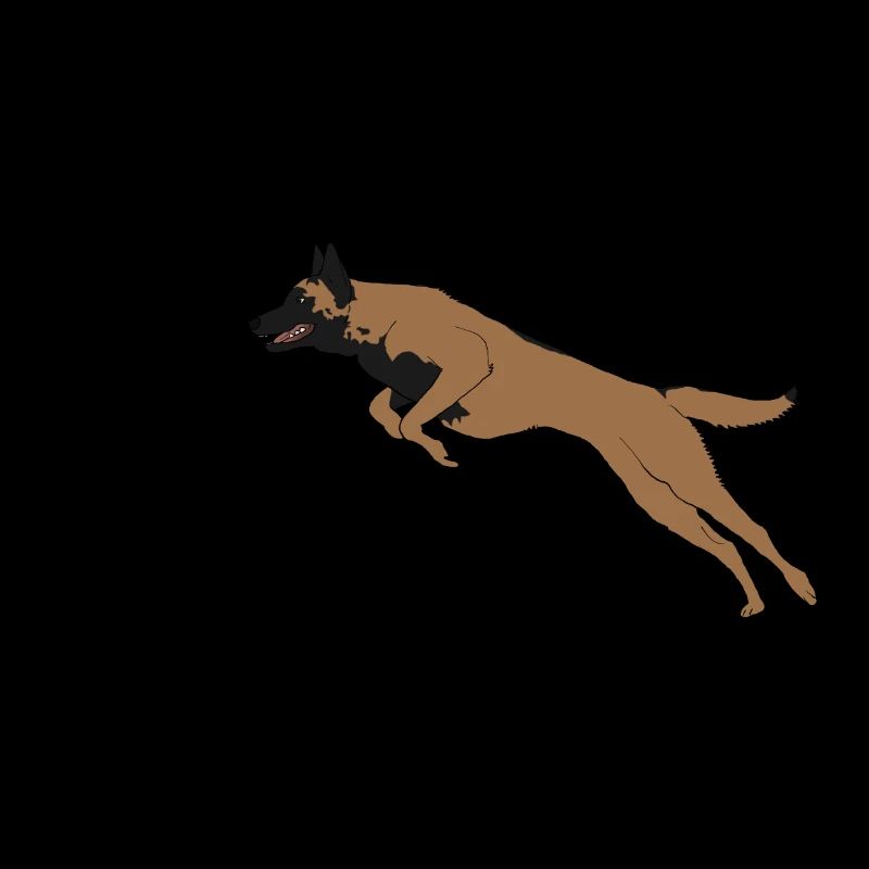 Malinois