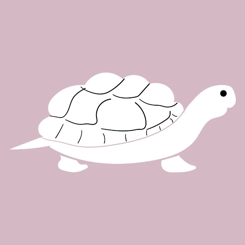 Tortues