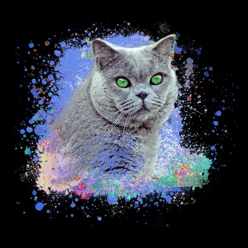 perser chat,ziamkatze,chat,chat brun, graffiti