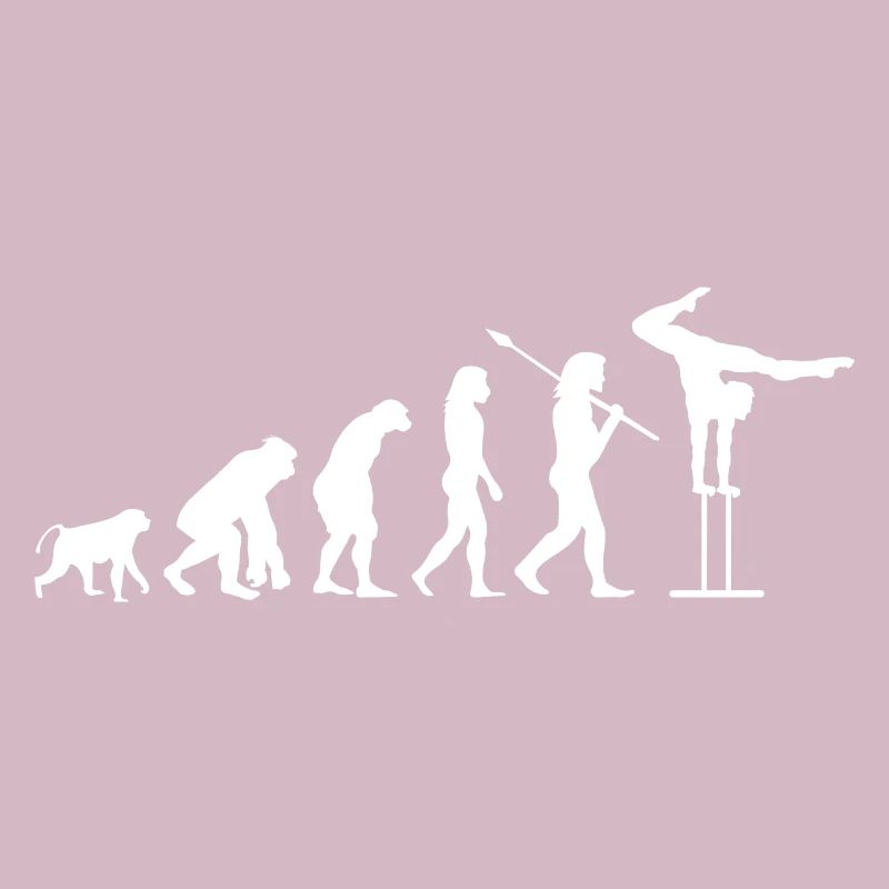 Gymnastics acrobatics