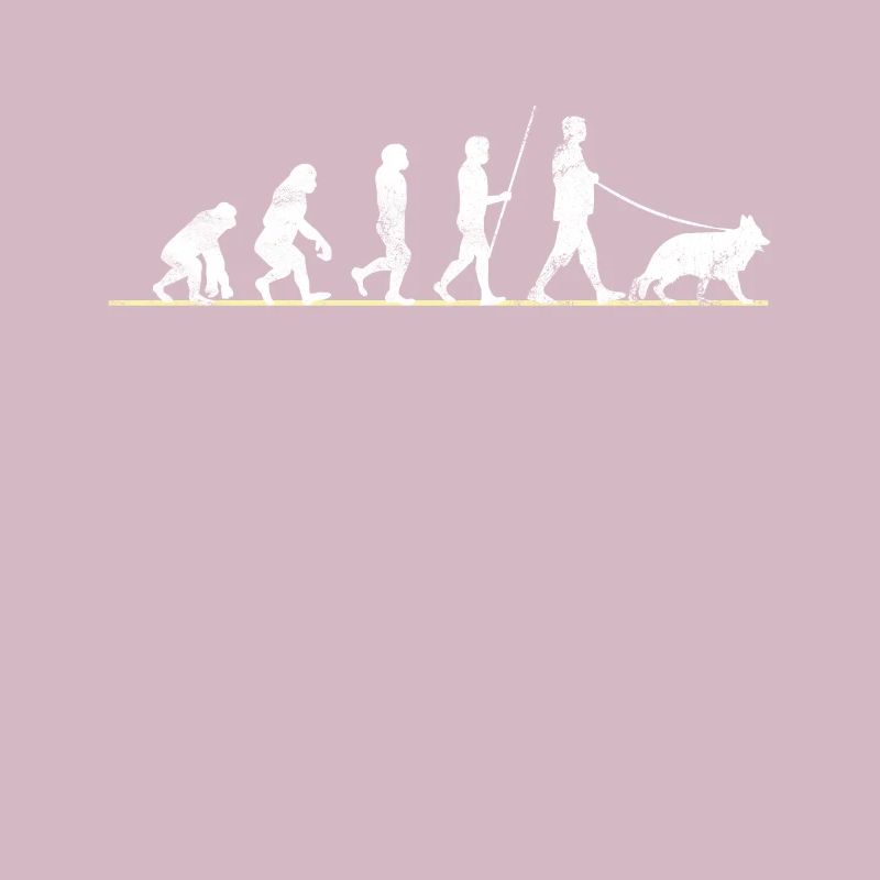 Chien de berger allemand Evolution