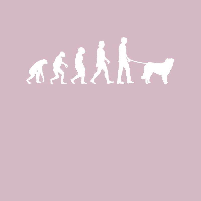 Évolution de Kuvasz