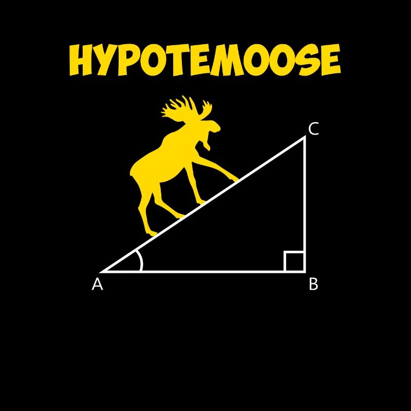 hypotemoose, math teacher hypotemoose