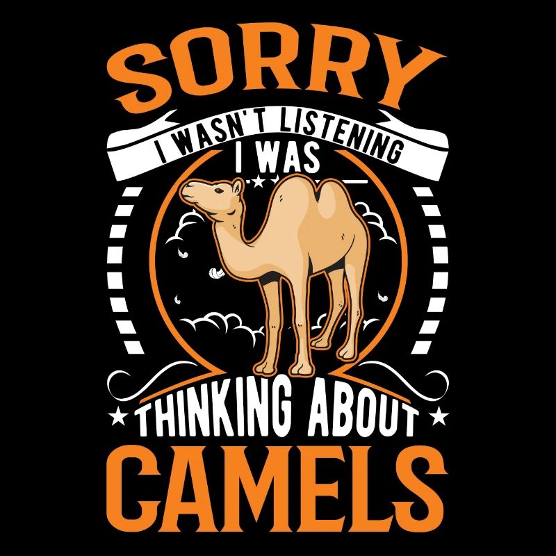 Kamel Dromedar Ägypten Geschenk Großkamel