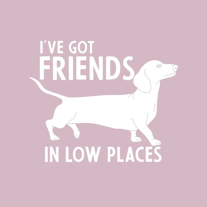 teckel j’ai des amis dans des endroits bas chien mignon