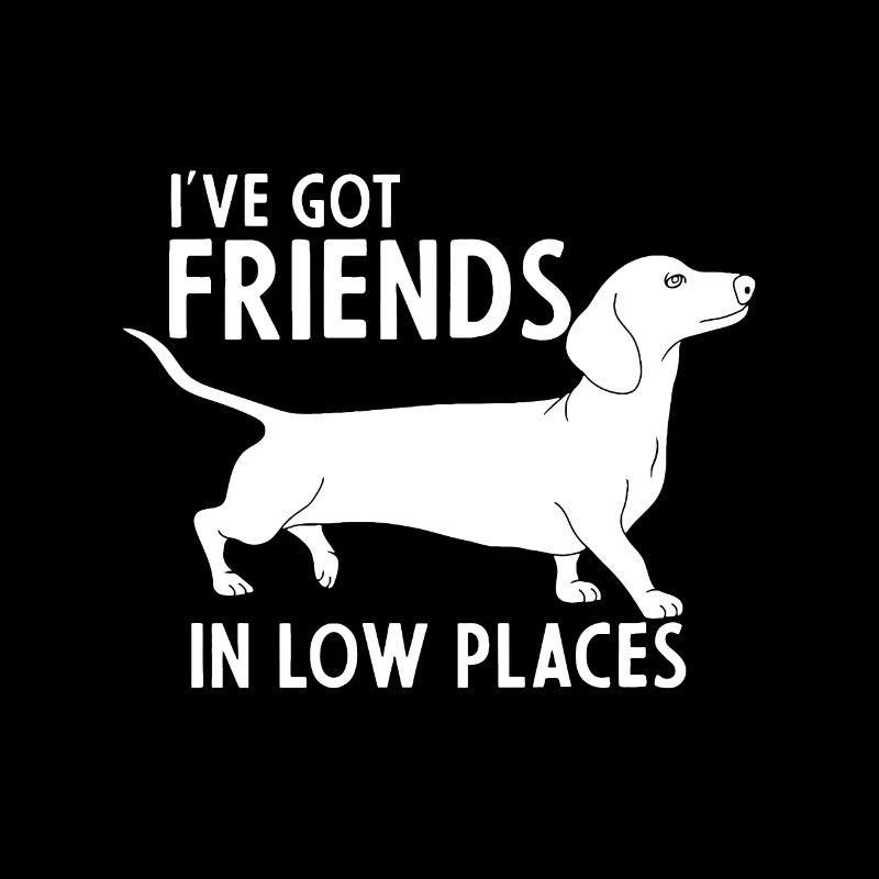 teckel j’ai des amis dans des endroits bas chien mignon