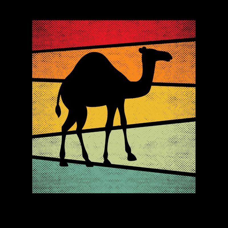 Rétro Dromadaire