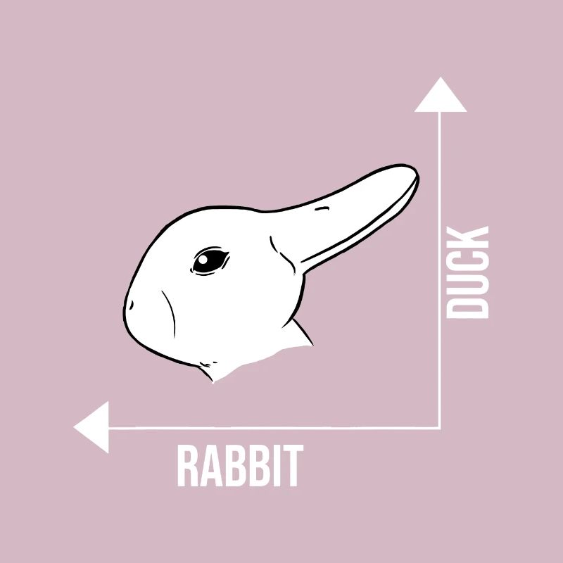 Rabbit Duck Graph Math Easter