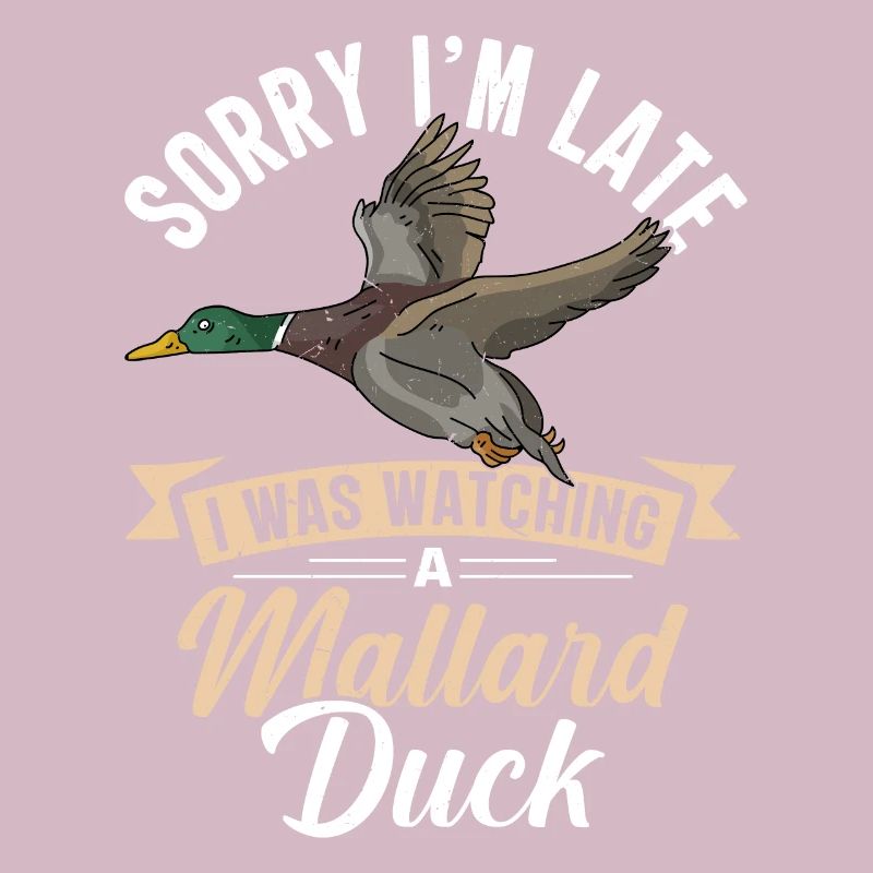Duck Mallard