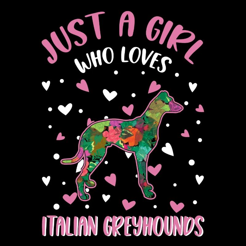 Italienischer Windhund Mädchen