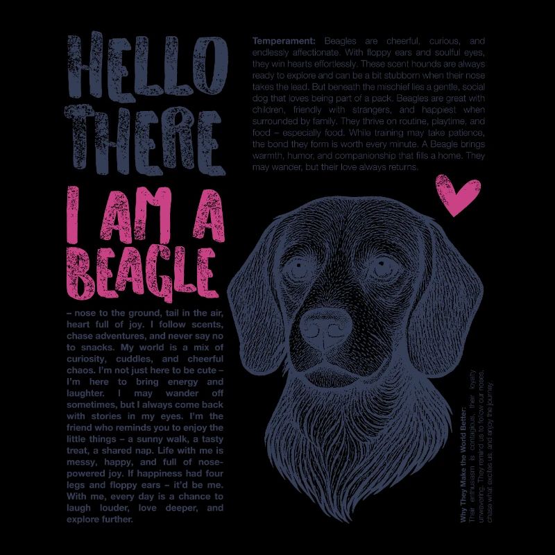 Beagle – Neugierig, Treu & Immer In Bewegung
