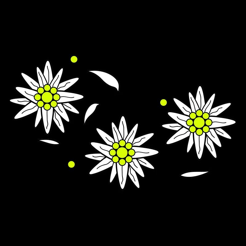 Edelweiss