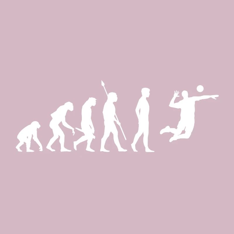 Volleyball Evolution