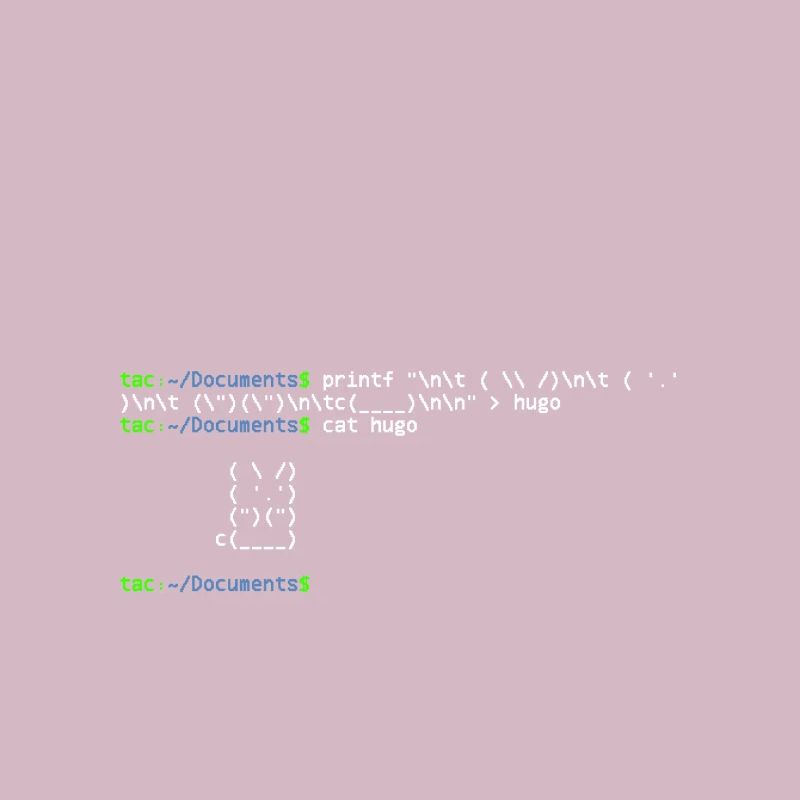 linux shell rabbit
