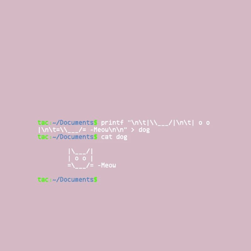 linux shell cat