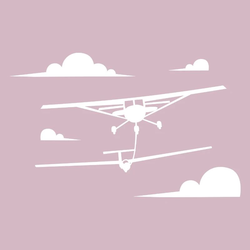 Sailplane Pilot Evolution Flying Glider Aviation