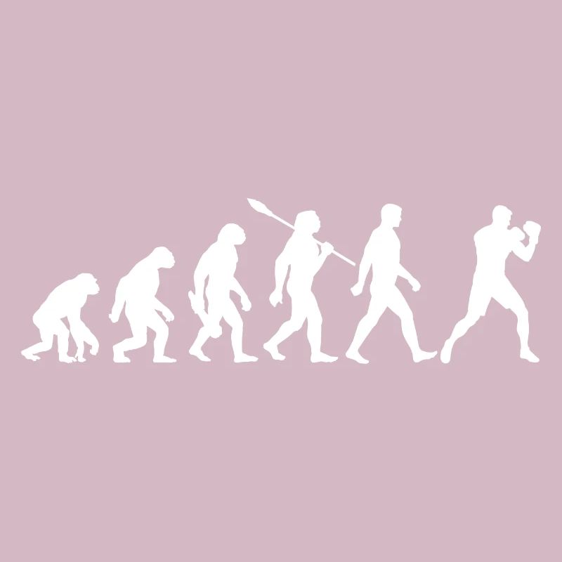Evolution - Boxe, Arts martiaux, Entraînement de boxe