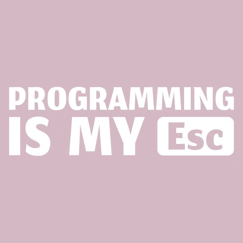 Informatik IT Programmierer