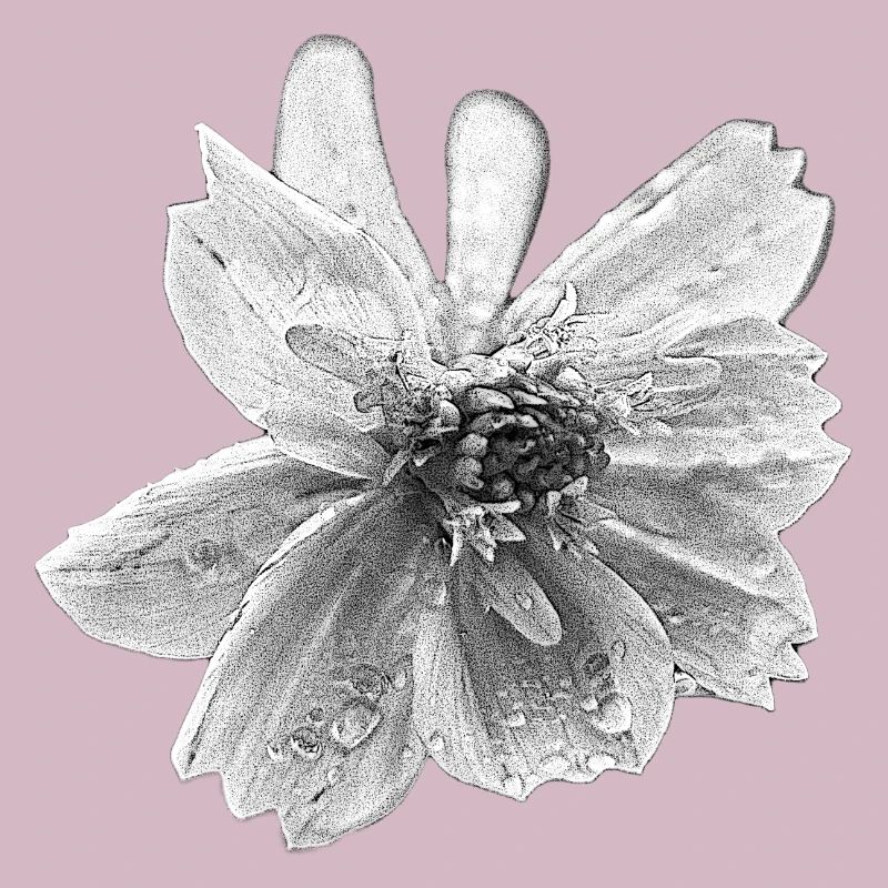 fleur