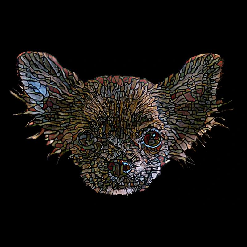 Visage de Chihuahua