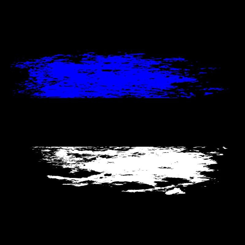 Drapeau de l’Estonie utilisé