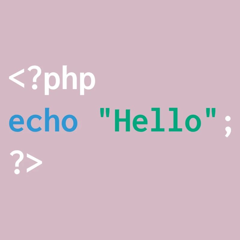 Developer php web humor funny