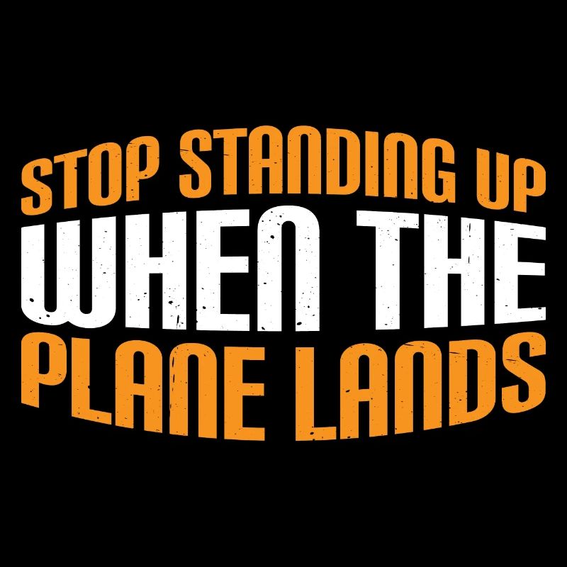 Stop Standing Up When The Plane Lands 11