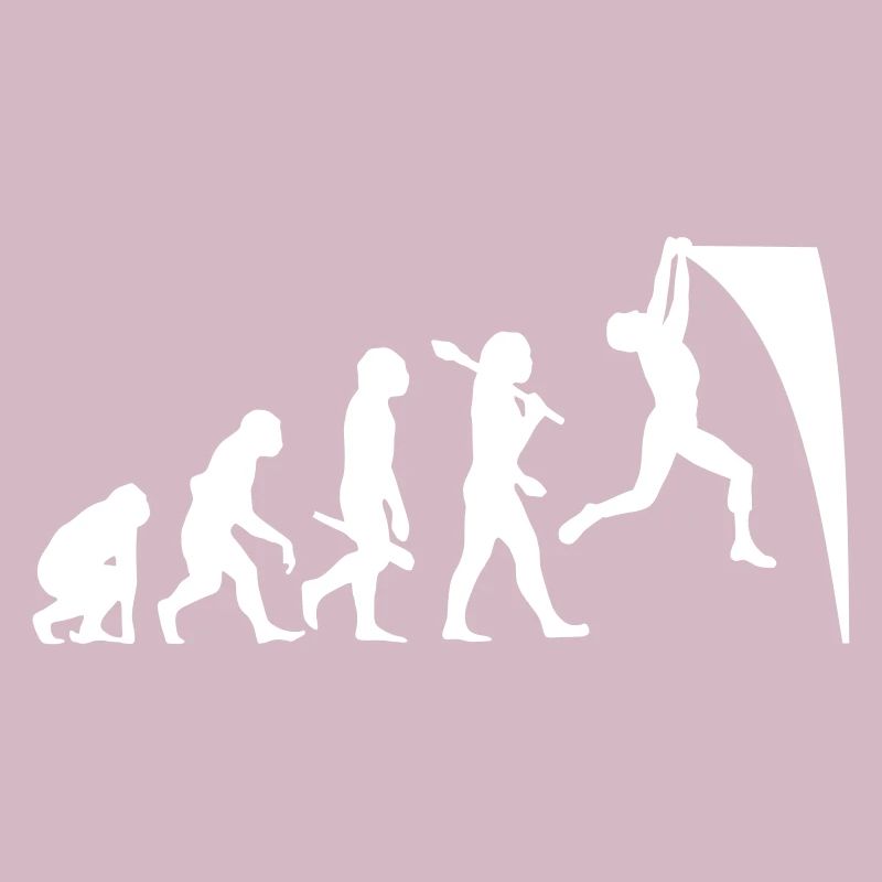 Ninja Warrior Evolution