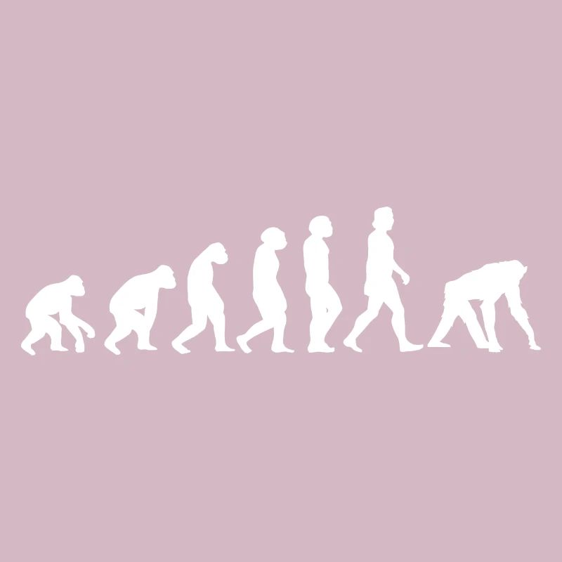 Monkey White Evolution Animals Chimpanzee