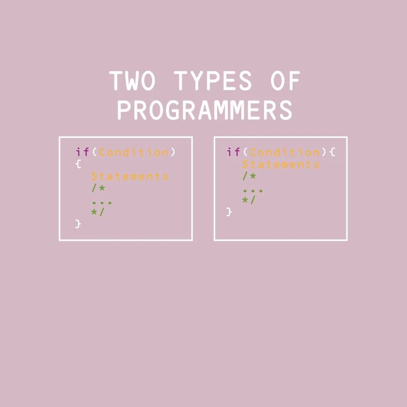 Deux types de programmeurs PHP HTML IT Developer