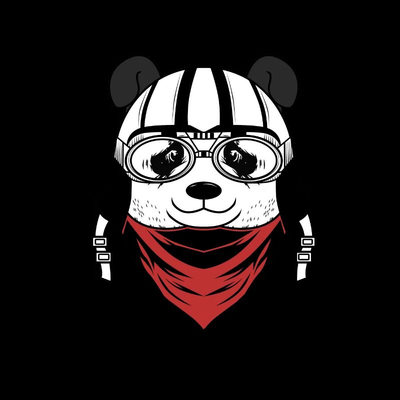 Cool panda with cap animal gift idea