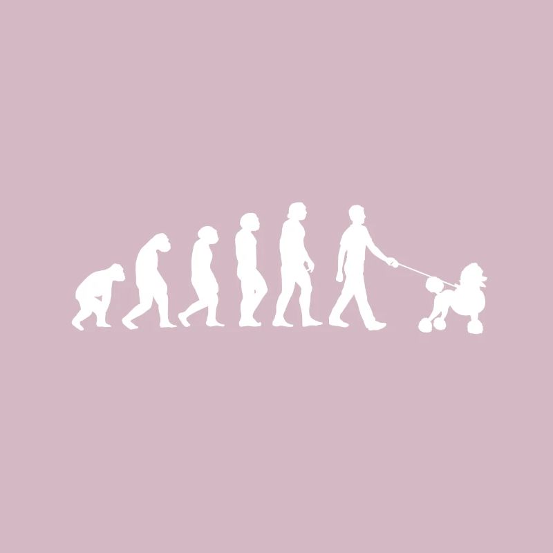 Caniche Evolution
