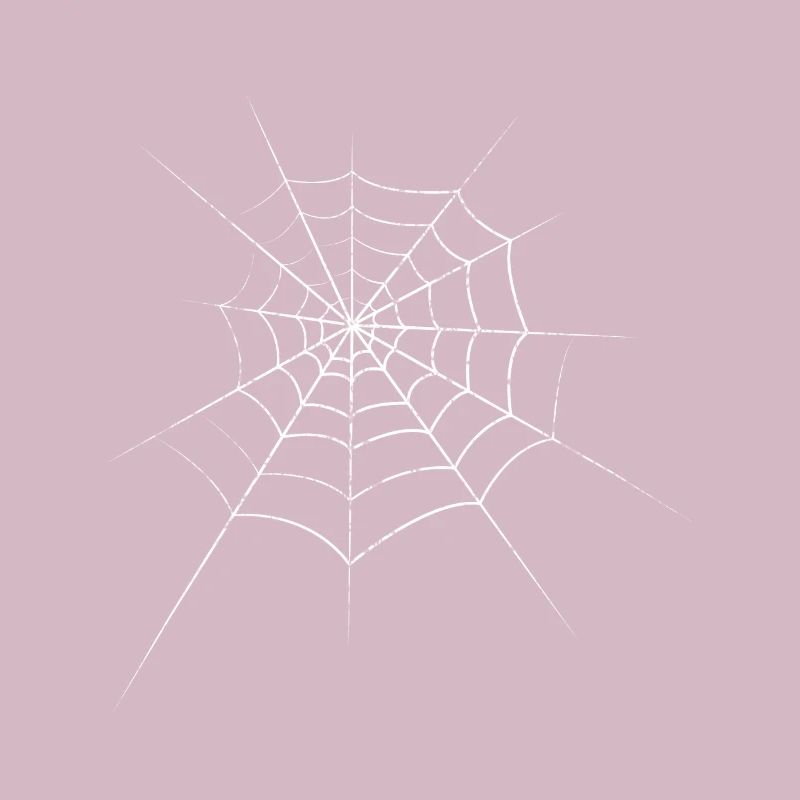 Spider cobweb