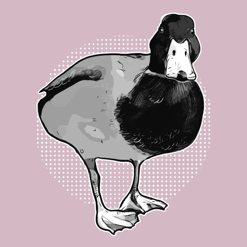 duck