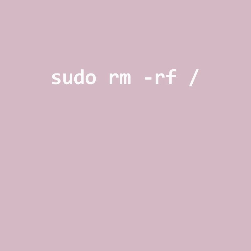 Programmeur Sudo Linux