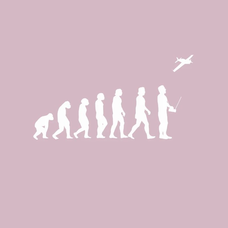 Modellflieger Evolution model airplane