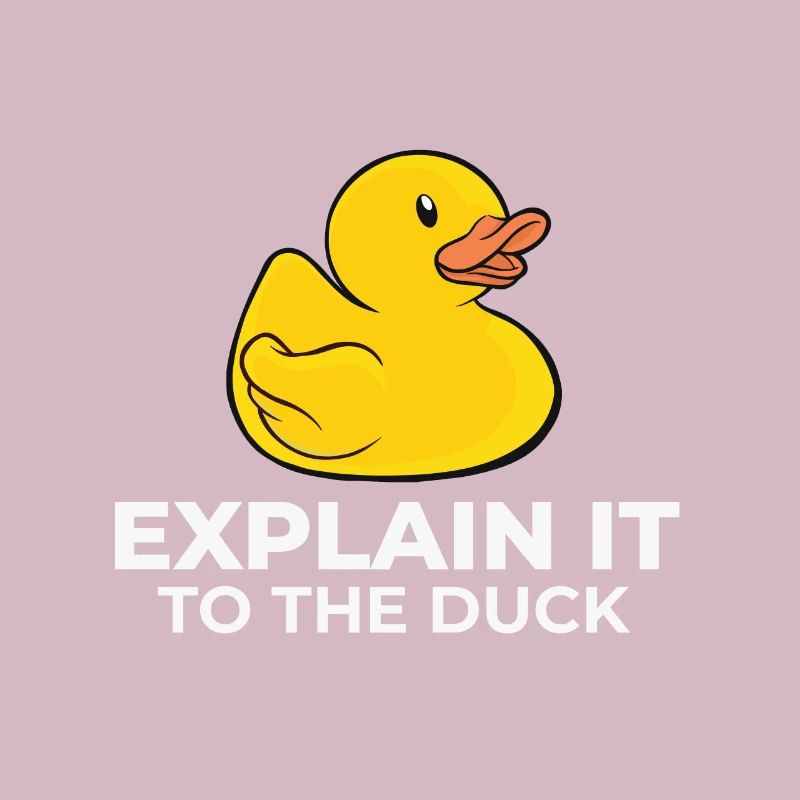 Programmeur canard en caoutchouc l'expliquer au canard