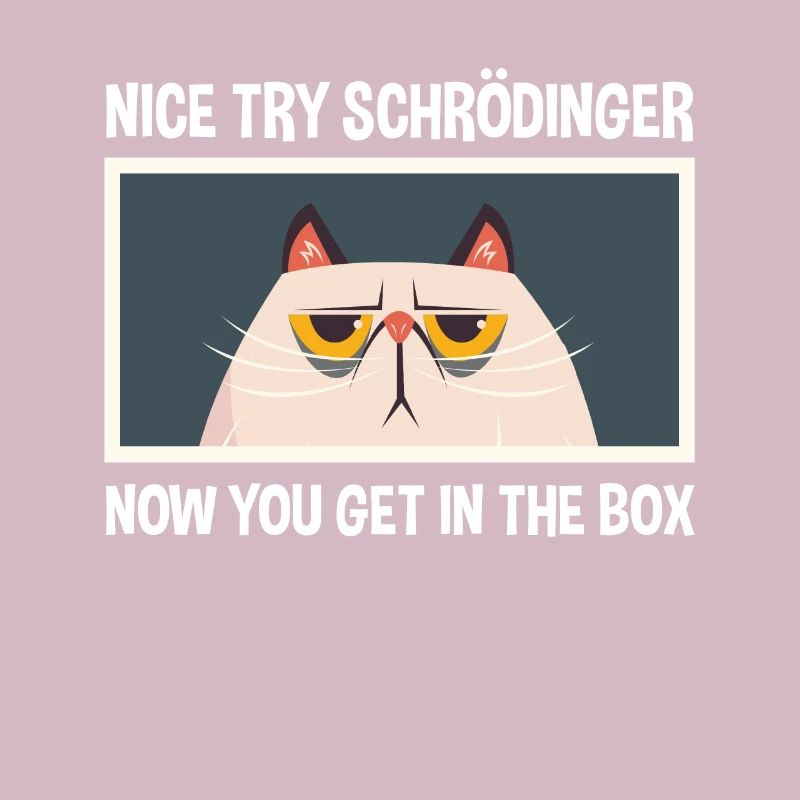 Netter Versuch Schrödinger Physik Physiker