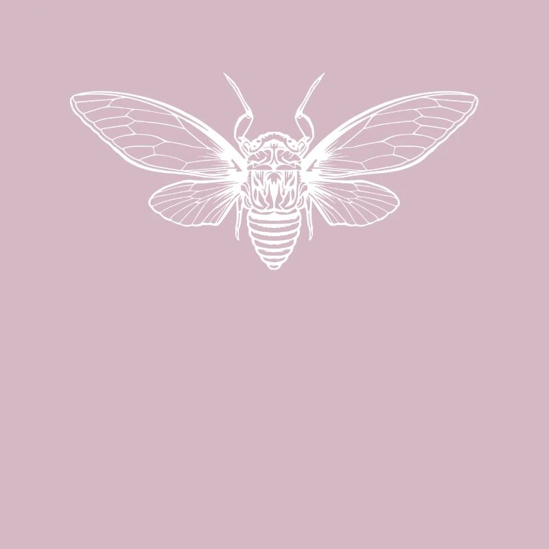 Cicada Cicada Brut Insect