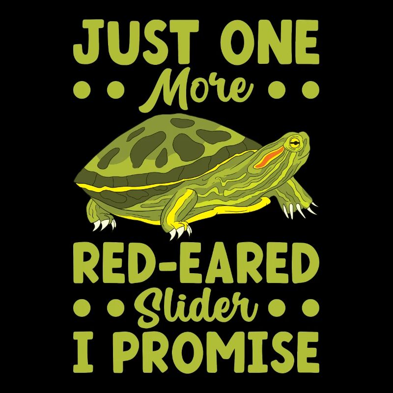 Turtle Red-eared slider