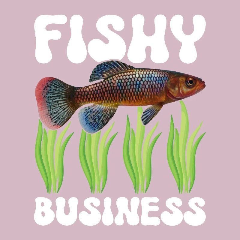 Killifish Quarium Fish