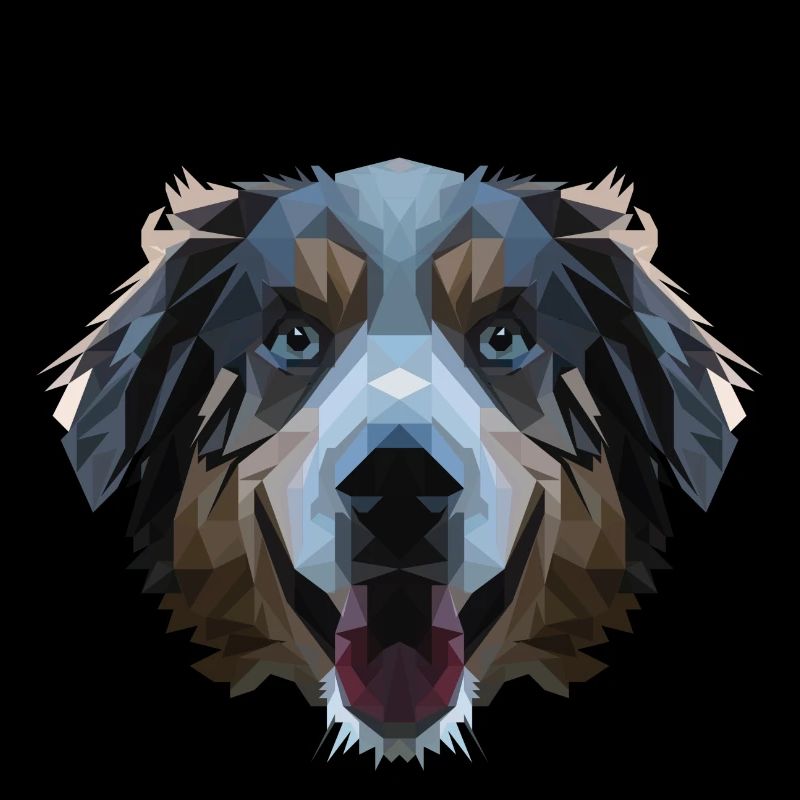 Aussie in polygon design - geometry