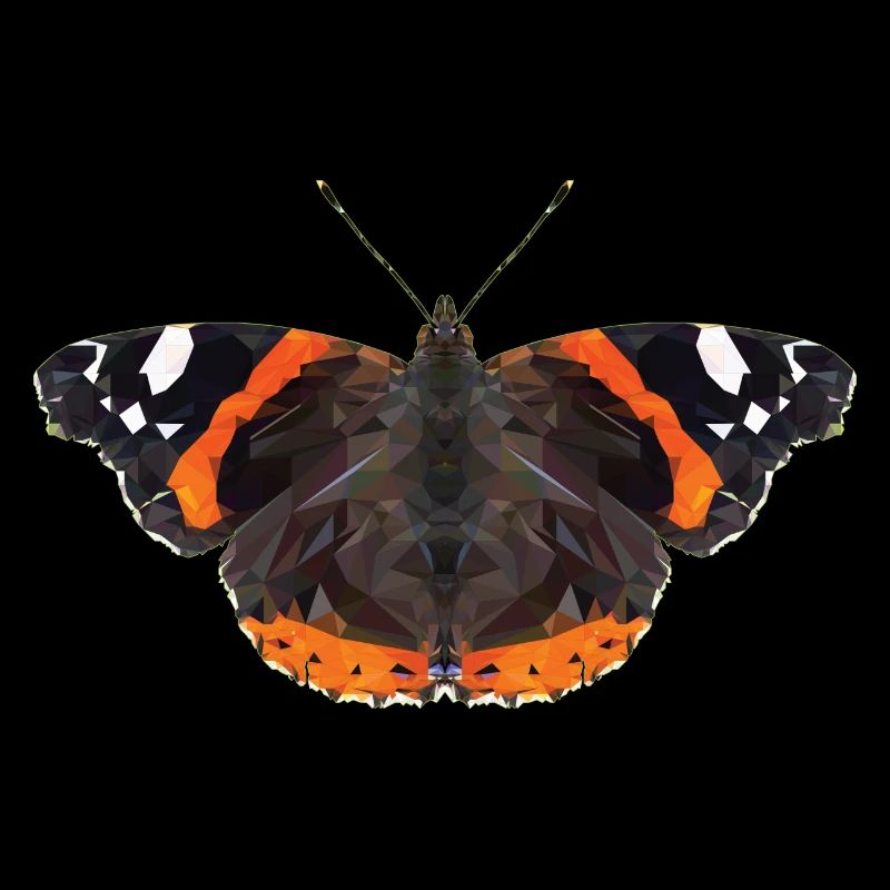 Papillon amiral papillon polygone