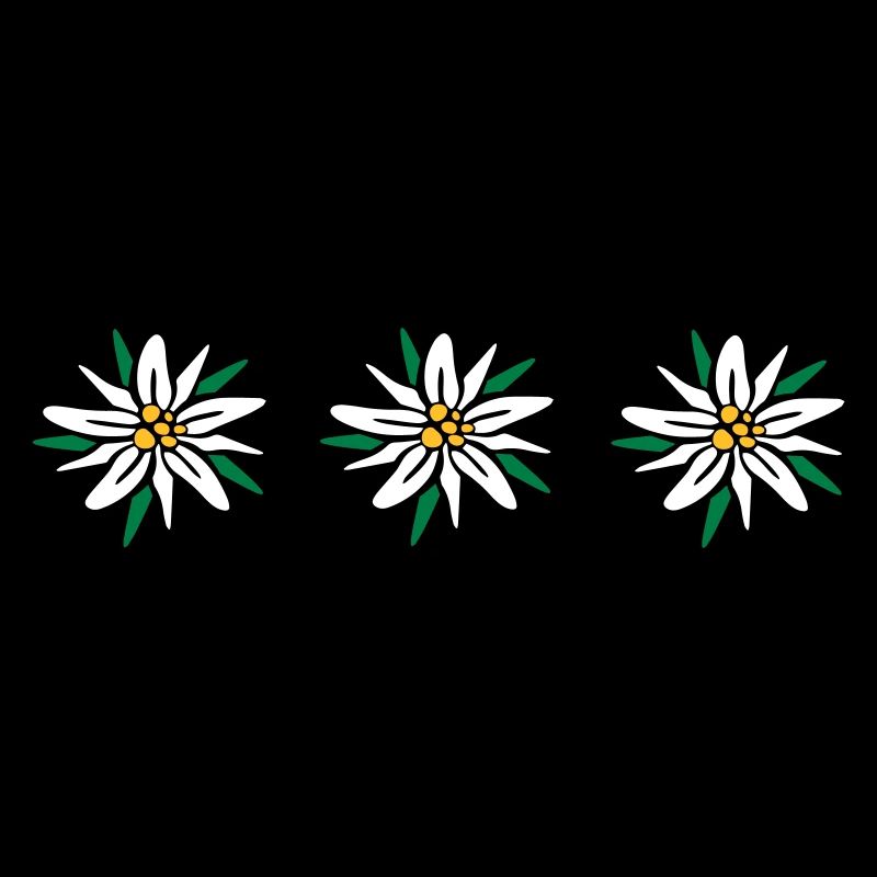 Edelweiss